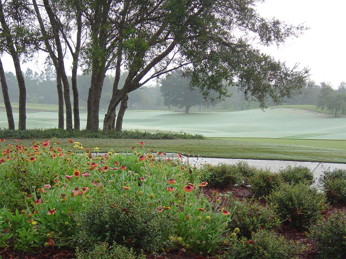 Golf Course Landscape Architecture